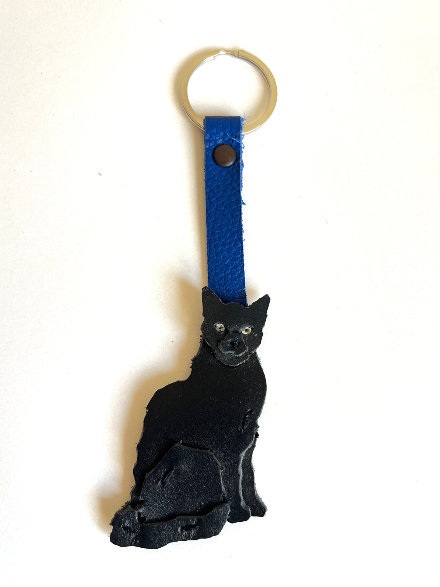Gato negro de ojos verdes en correa azul eléctrico