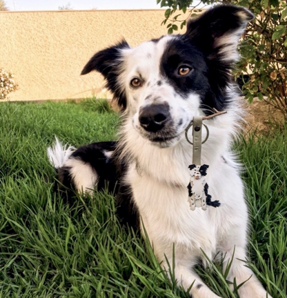 Llavero de Perro - Full Personalizado a partir de tus fotos