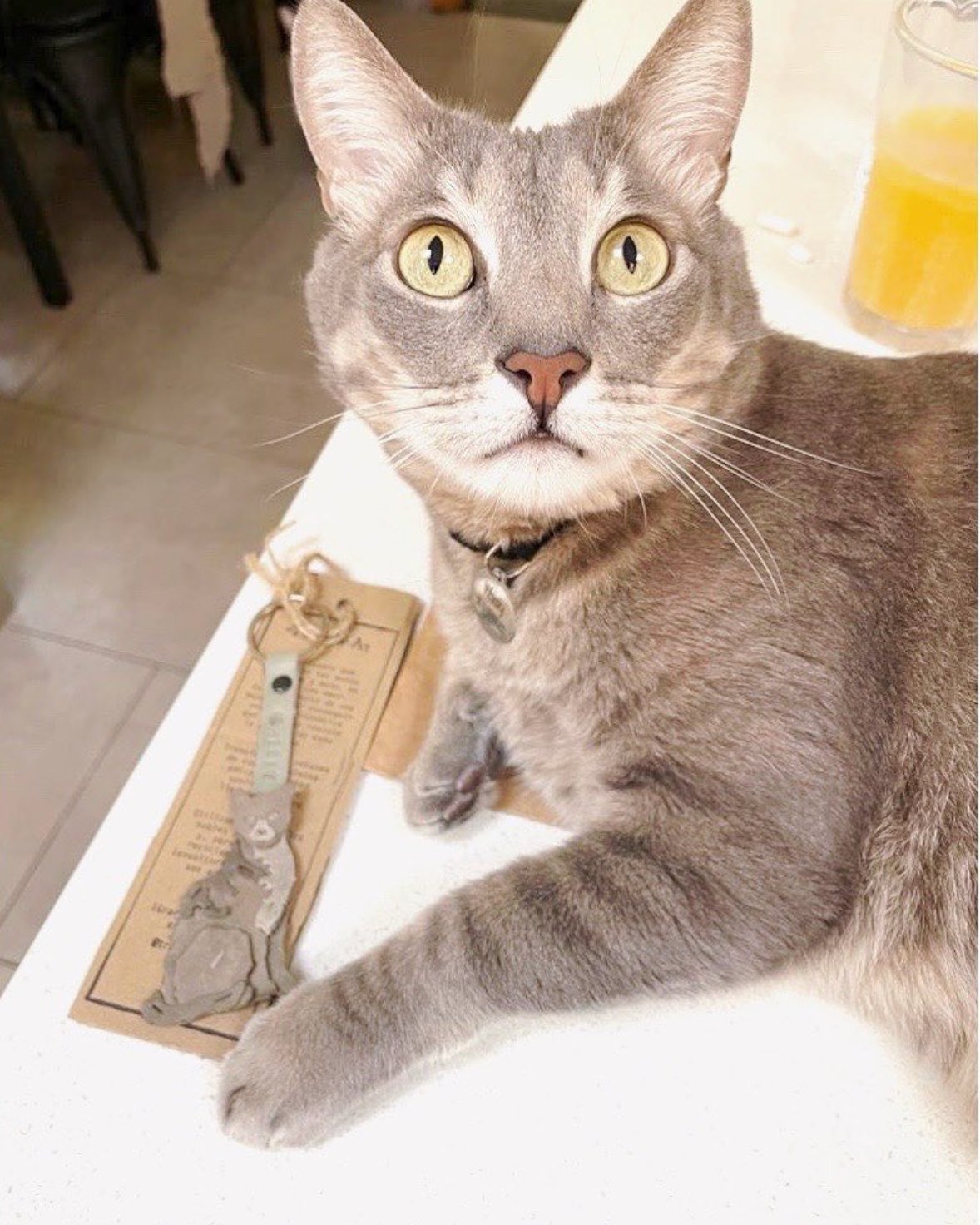 Llavero de Gato - Full Personalizado a partir de tus fotos