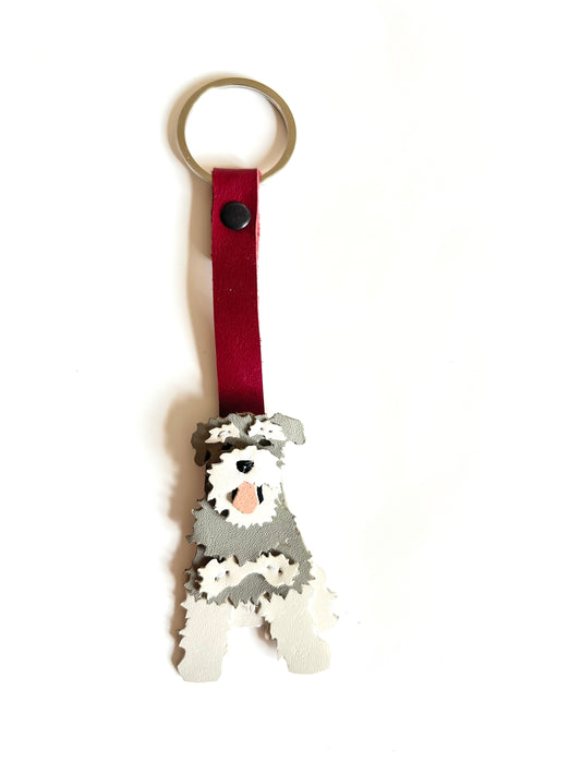 Schnauzer sal y pimienta n·3